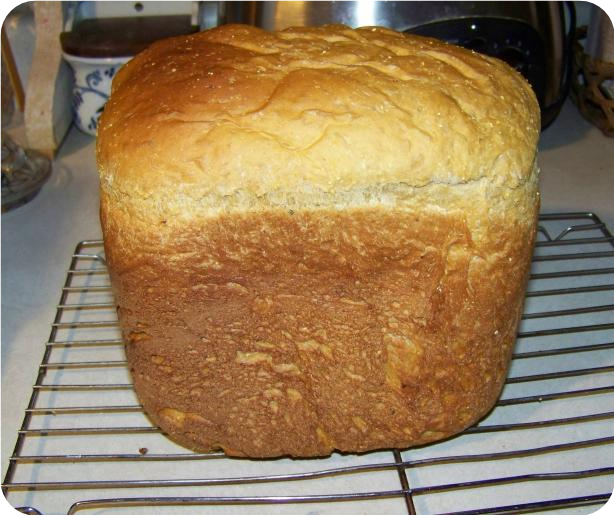 Mimi's Parmesan Cheese Bread (Bread Machine)