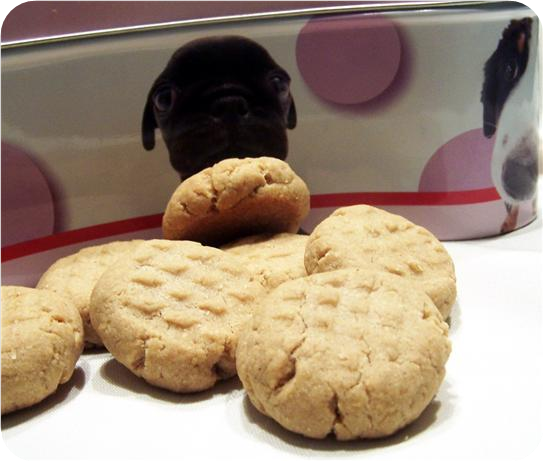 Peanut Butter Doggie Cookies