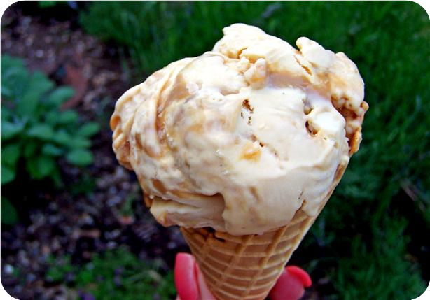 Dulce De Leche Ice Cream