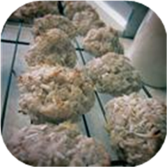 Old Fashioned Coconut Drops