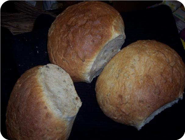 Sun Nut Bread (bread Machine)