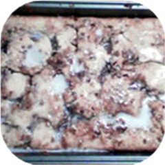 Aunt Dee Dee's Apple Coffee Cake