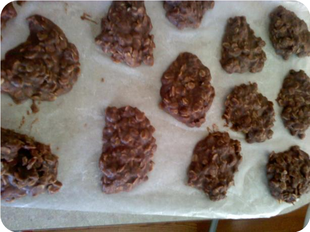 No Bake Chocolate Cookies