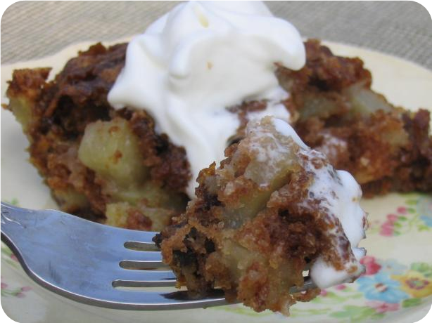 Apple Dessert