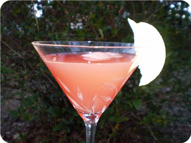 Vodka Gilligan's Island