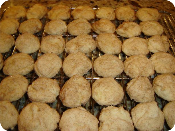 Lighter Snickerdoodles