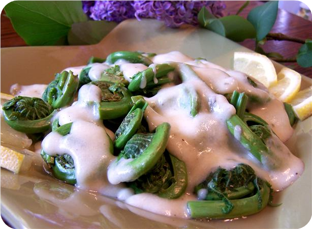 Creamy Dijon Sauce Fat Free and Tasty