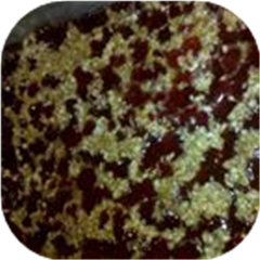 Easy Dump Cherry Crisp
