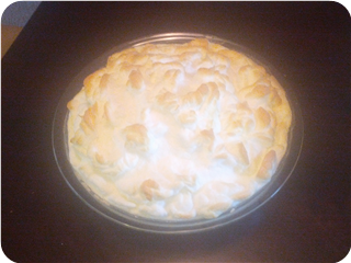 Delmonico's Baked Alaska