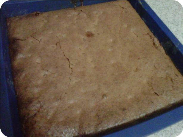 Chocolate Chip Butter Tart Squares