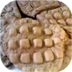 Pinka Butter Cookies