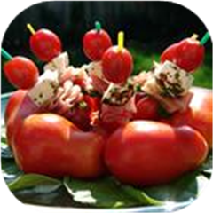 Mozzarella and Tomato Appetizer
