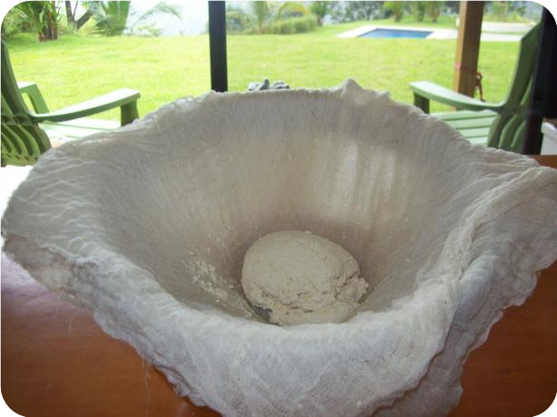 Fresh Homemade Ricotta Cheese