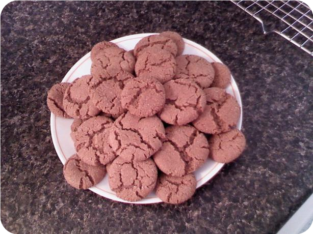 Earthquake Cookies