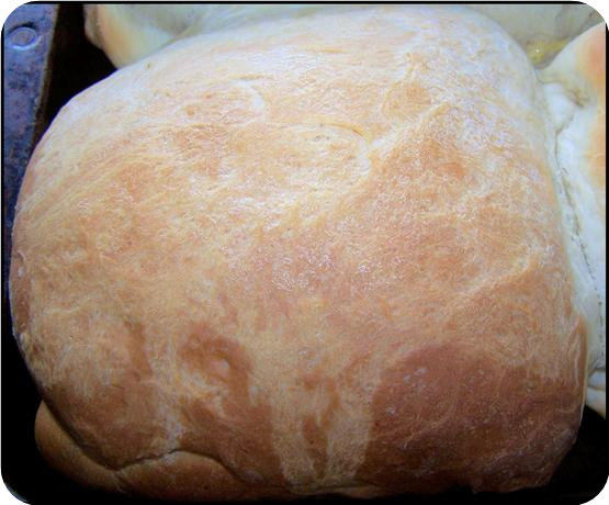 Runza Dough