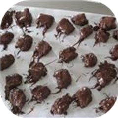 Choco-coconut Bars