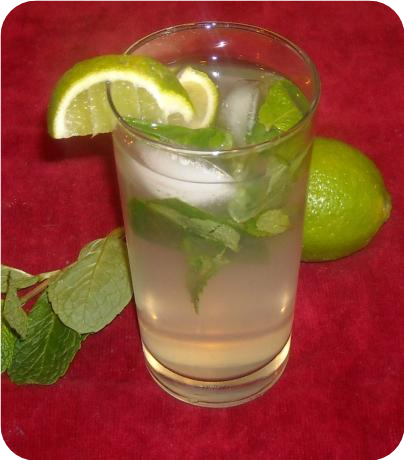 Gino's Marvelous Mojitos