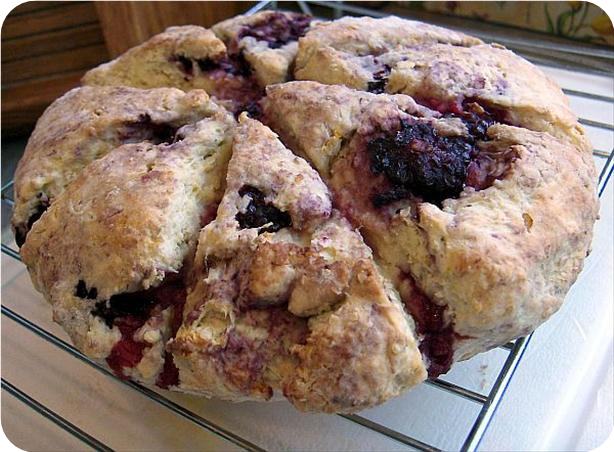 Blueberry Oat Scones