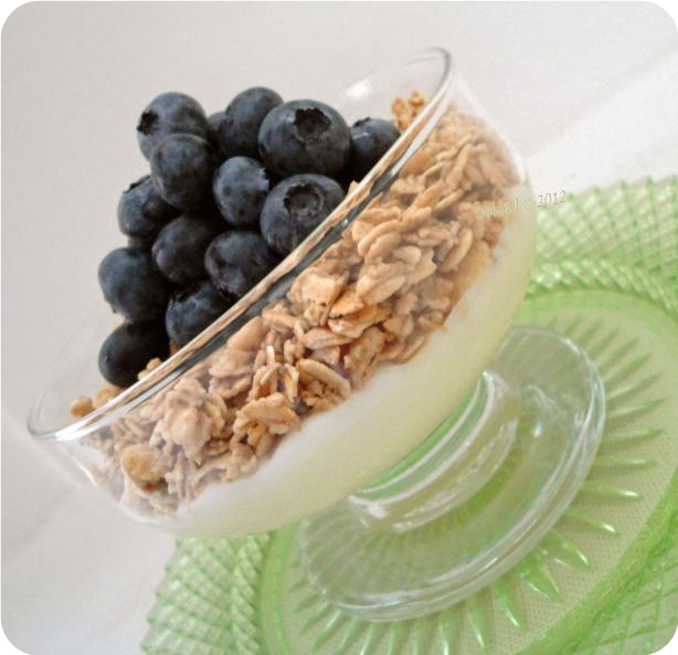 Blueberry Granola Yogurt