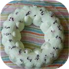 Blueberry Lime Mold