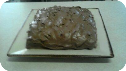 Chocolate Snack Cake