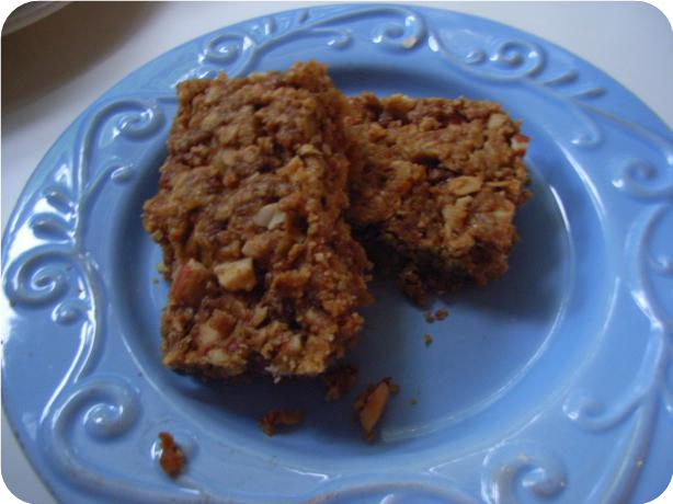 Ashton's Energy Bars